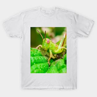 Young Grasshopper Macro Photography T-Shirt